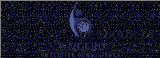 Education Consultancy Partner Wizguru Education