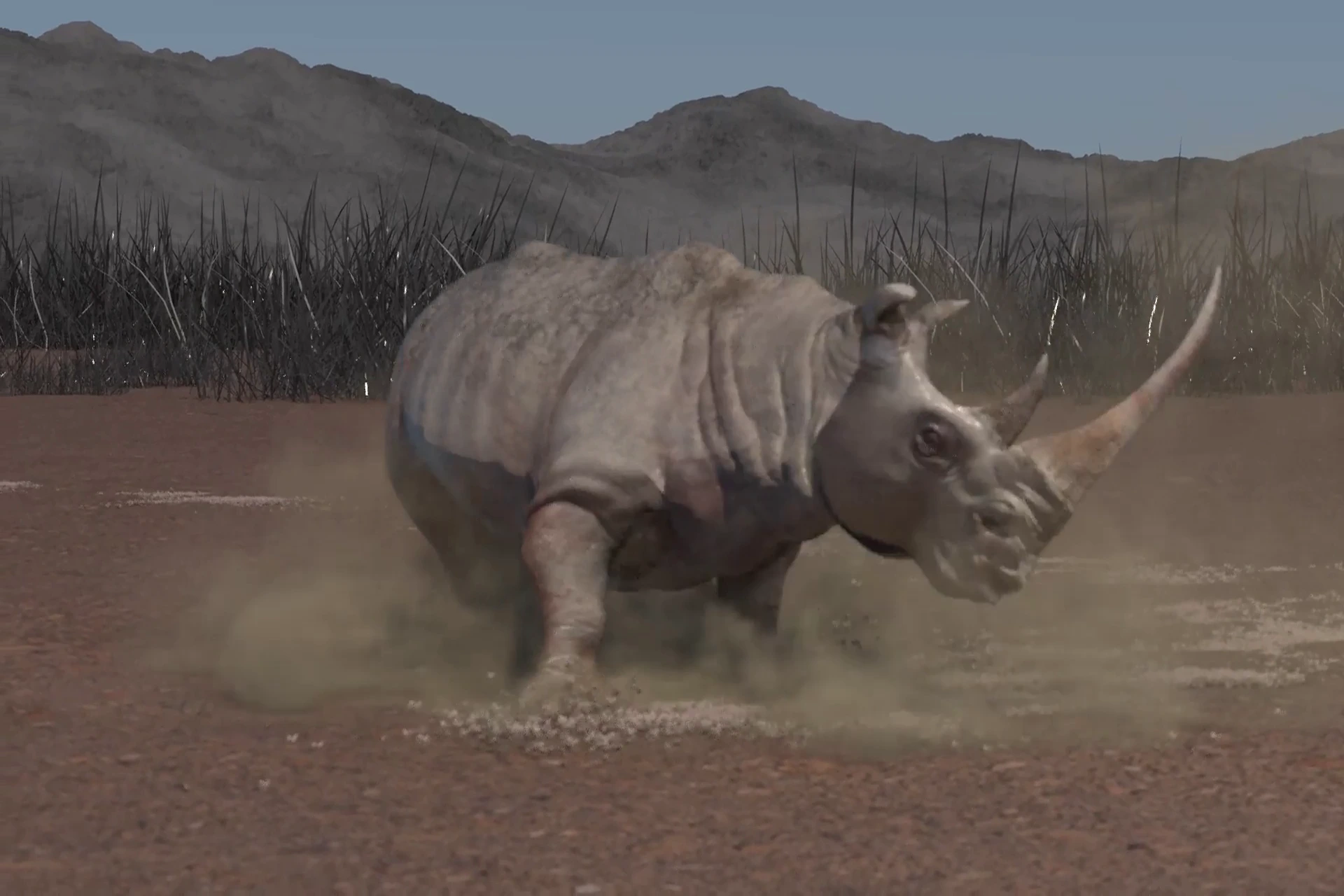 Rhino Dust